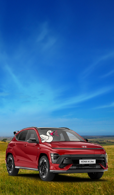 Hyundai KONA in a field