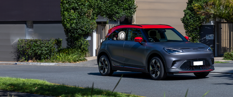 smart Shop Cars