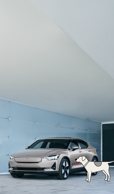 Polestar shop cars