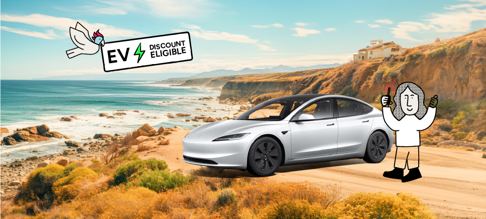 A girl and Oly bird holding an EV discount sign next to a Tesla on the beach - Oly electric cars