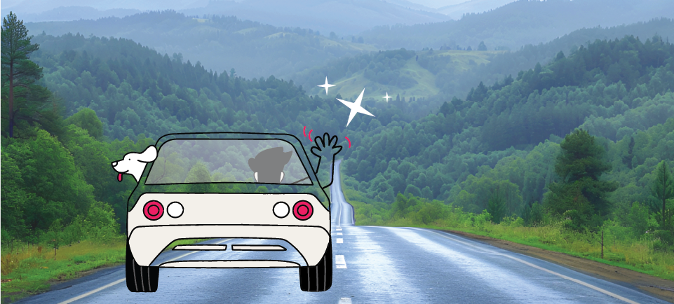 Car driving down a country road with animated dog looking out the window
