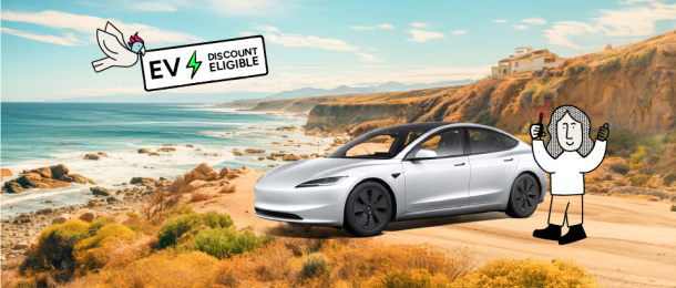 A girl and Oly bird holding an EV discount sign next to a Tesla on the beach - Oly electric cars