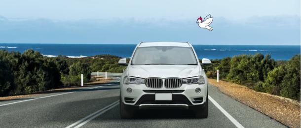 White Car with Bird - Oly Novated Lease Cost Calculator