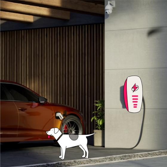 A charging EV and a Dog - Oly Novated Lease